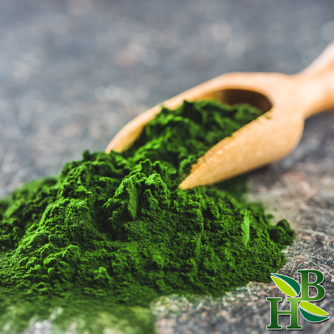Chlorella Powder