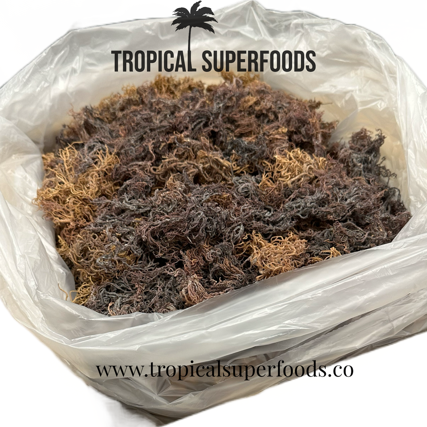 Wholesale Wildcrafted Sea Moss Full Spectrum Multi Purple