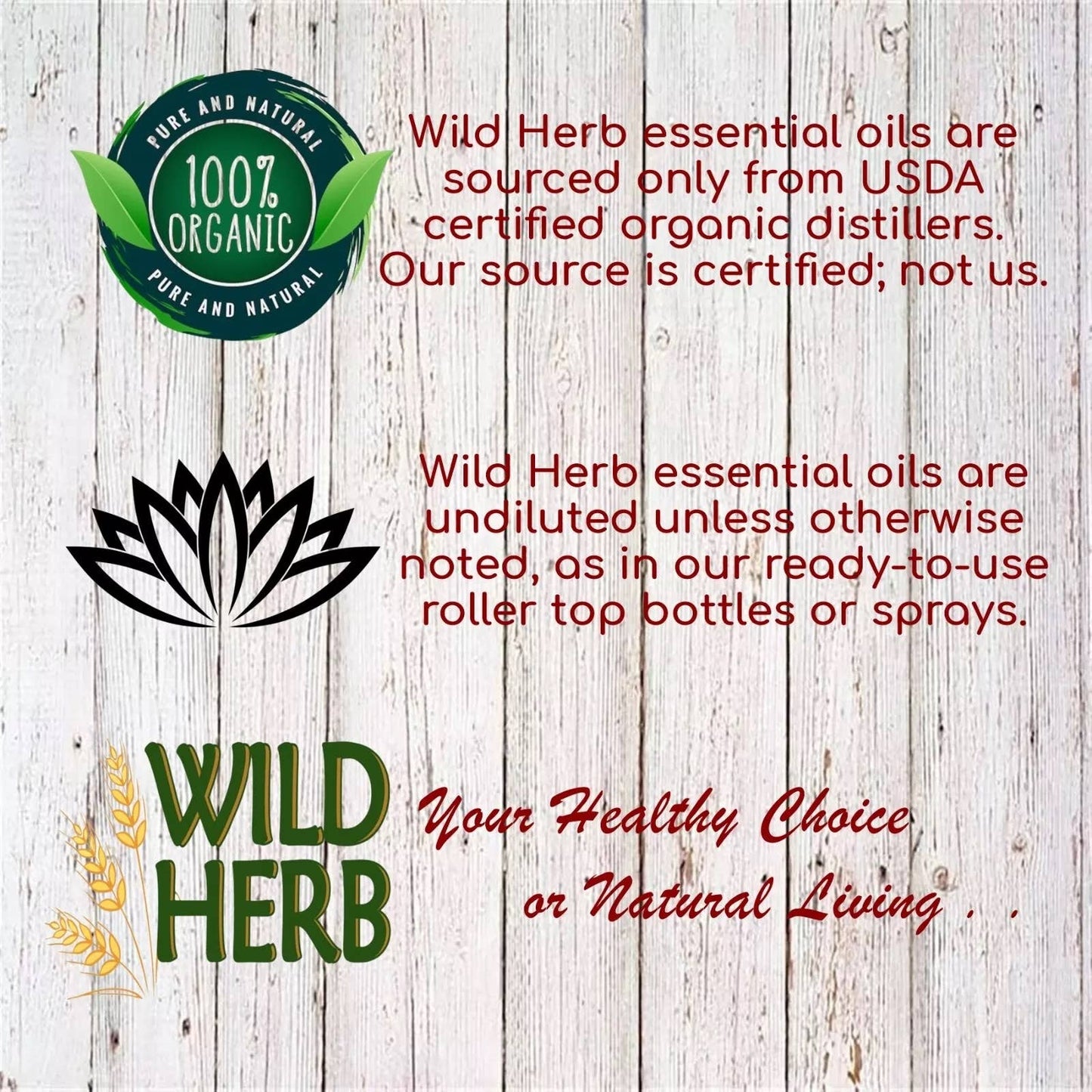 Oregano Essential Oil Bulk Size Pour Your Own Bottles