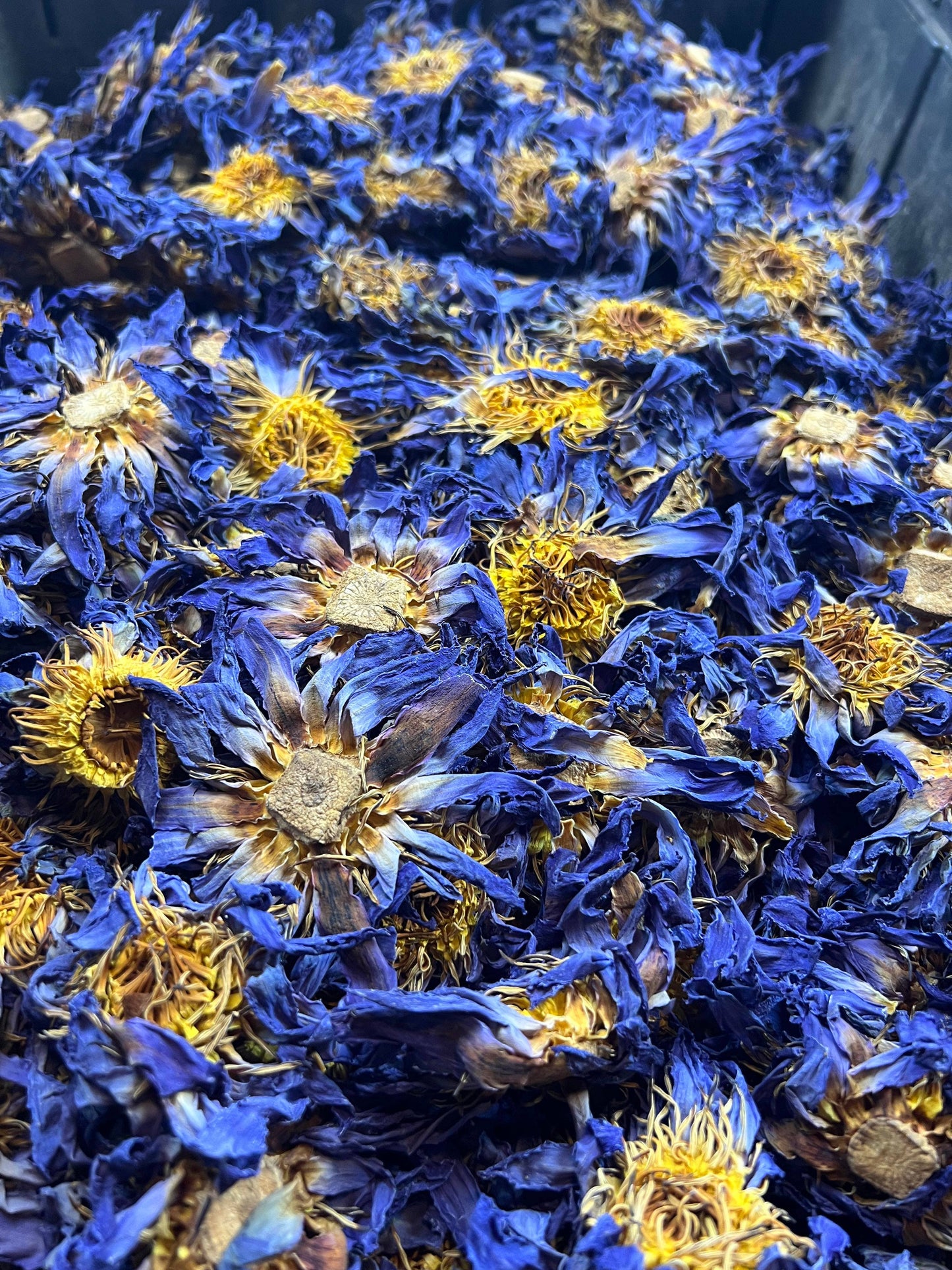 Blue Lotus Whole Flower 6-Pack Sachet Set | 3.5" x 4.75"