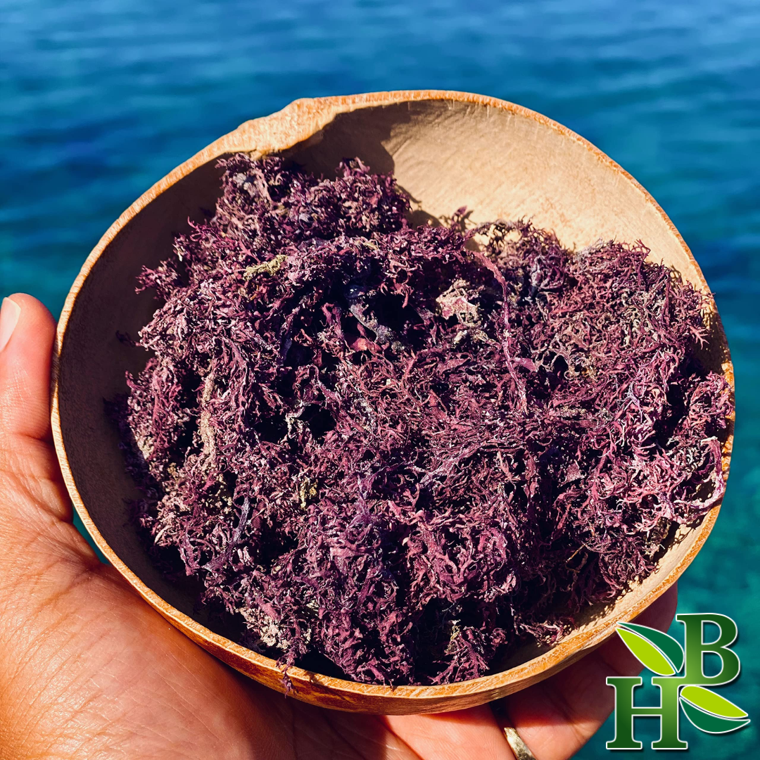 Purple Irish Sea Moss | Premium Quality