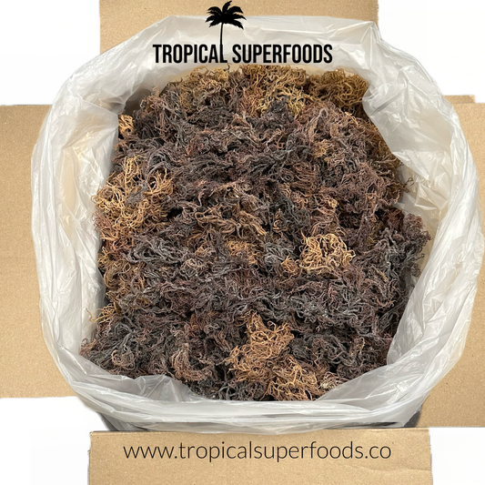 Wholesale wildcrafted multi purple sea moss sun-dried and nutrient-rich in a plastic-lined cardboard box